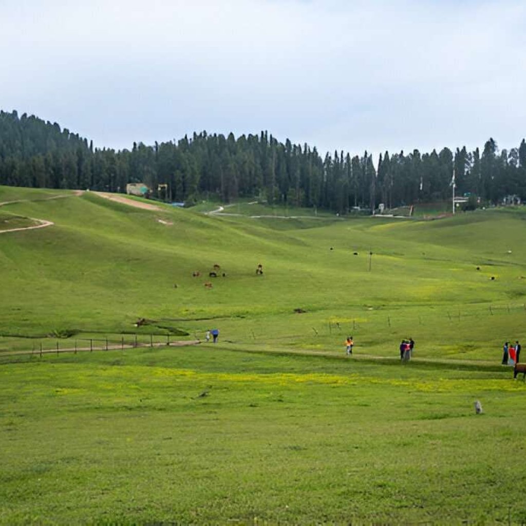 Sonmarg Complete tour guide