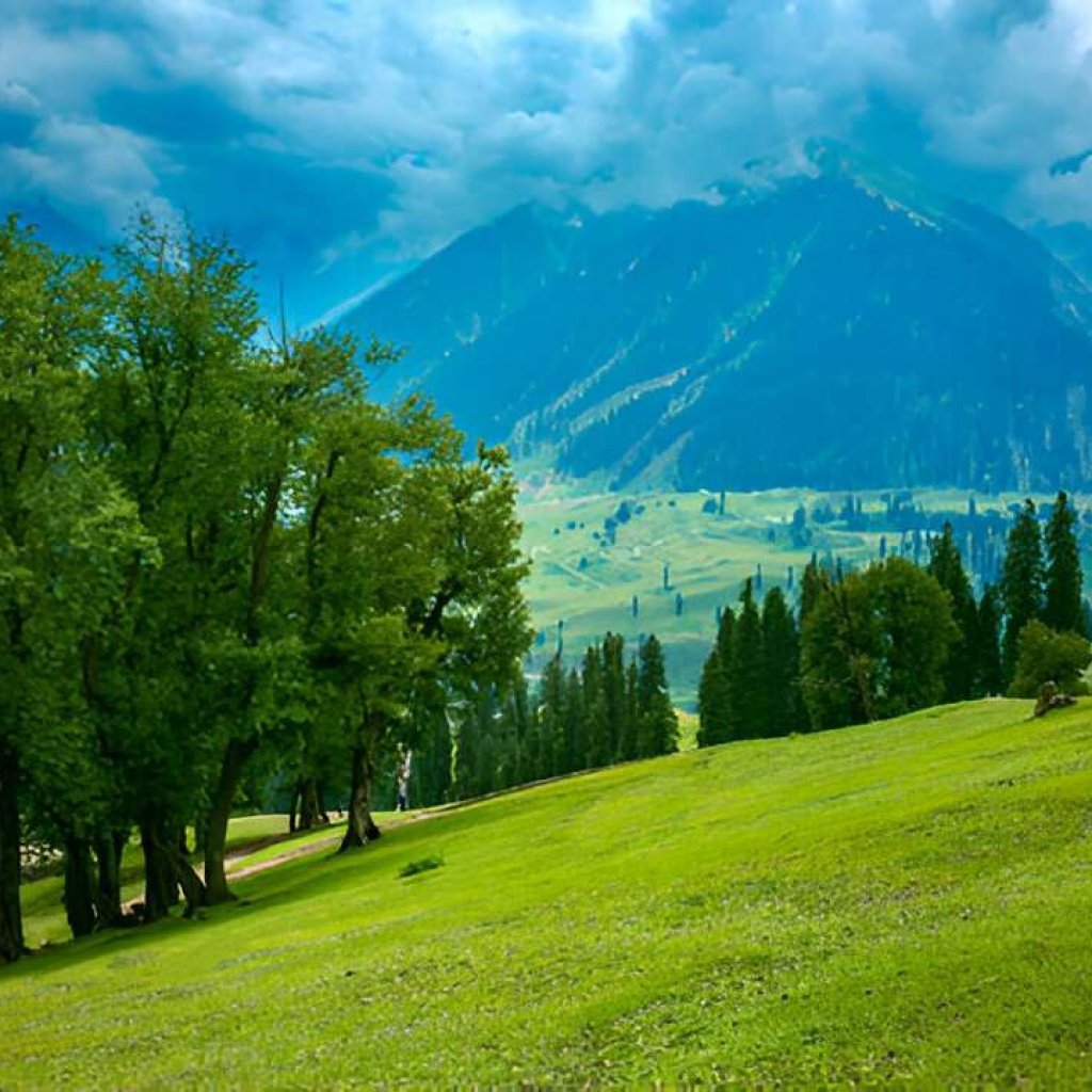 Sonmarg Complete tour guide (7)