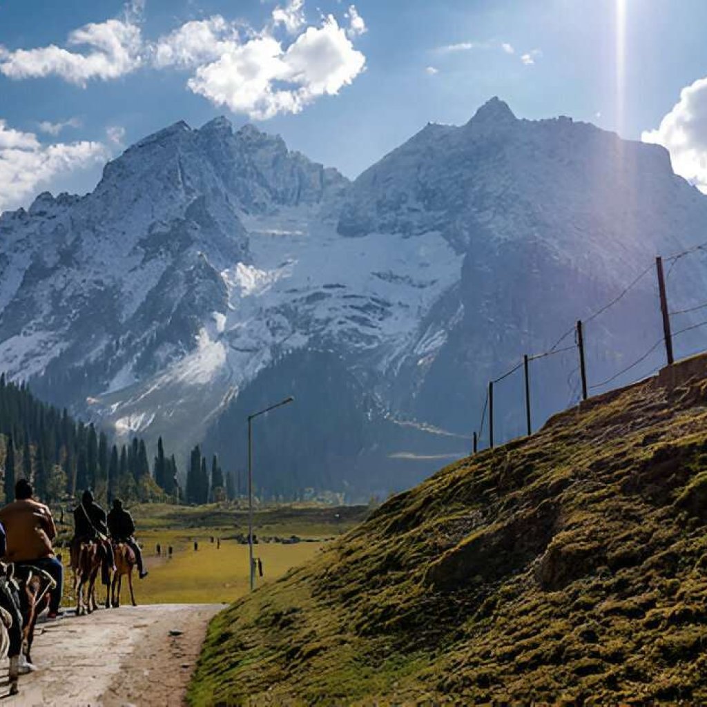 Sonmarg Complete tour guide
