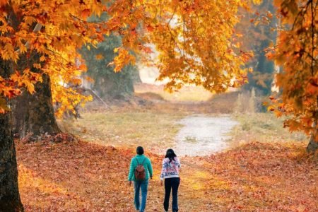 Top 10 Activities to do in Kashmir