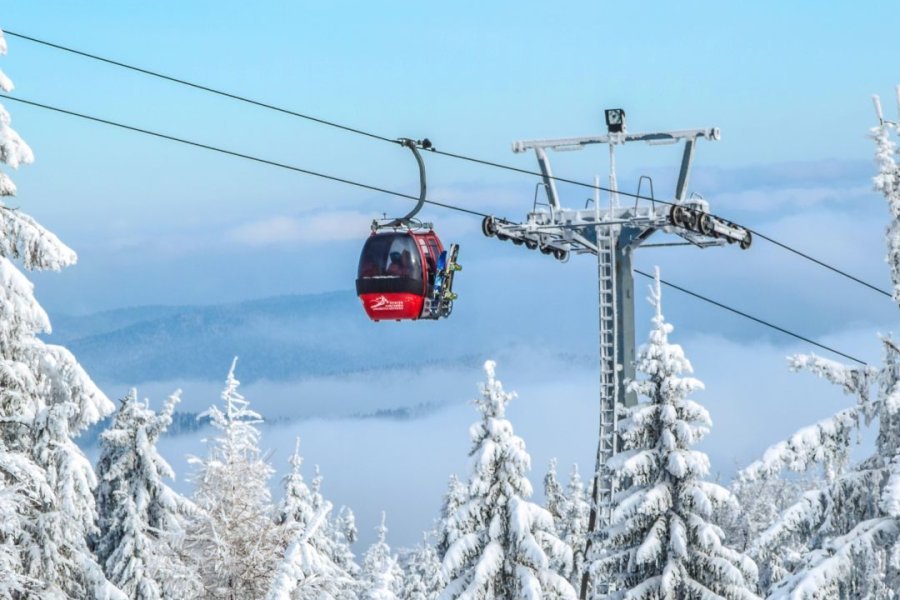 gulmarg gondola booking online