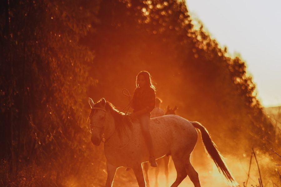 Pony ride in Kashmir
