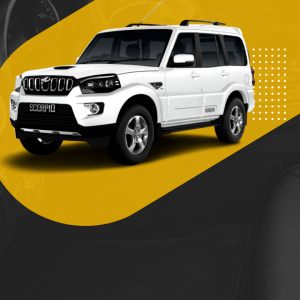 Untitled design (13)