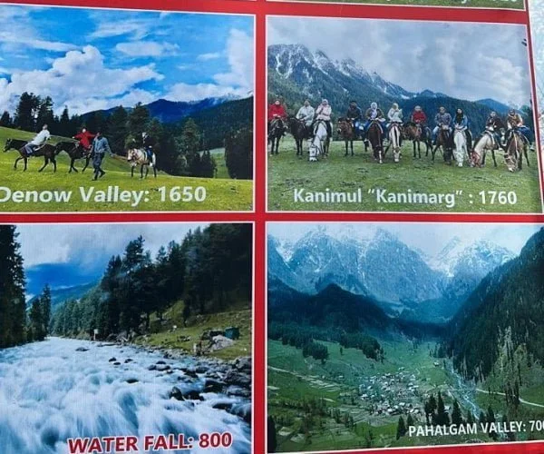 pony ride in pahalgam rates pony ride in pahalgam rates