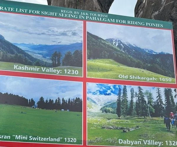 pony ride in kashmir pony ride in kashmir