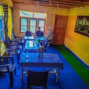 Hotel pine tree Gurez