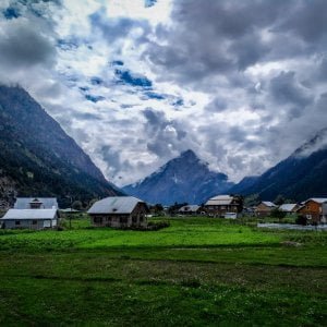 Hotel pine tree Gurez