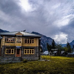 Hotel pine tree Gurez