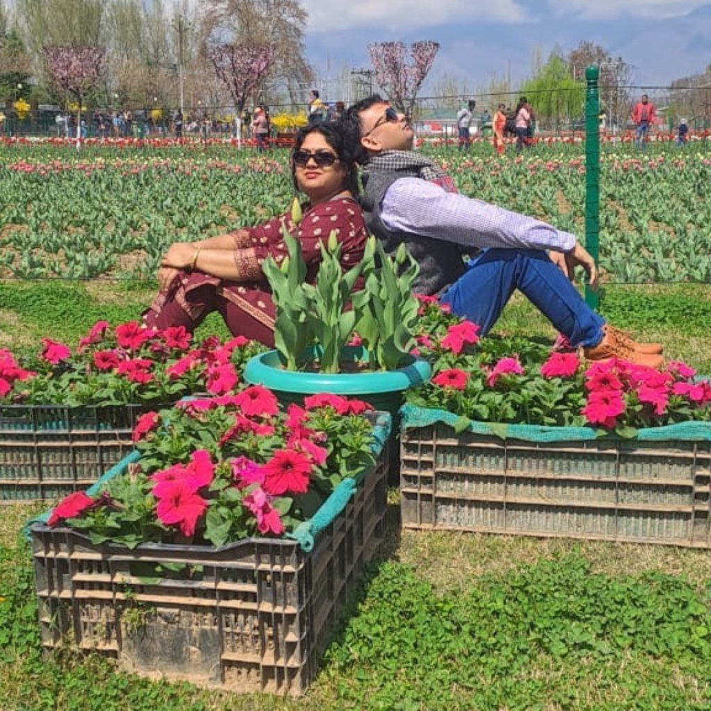 Tulip Garden 2024