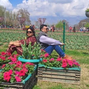 Tulip Garden 2023