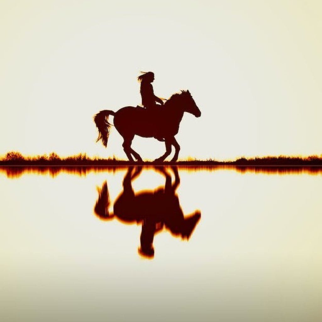 Pony ride in kashmir