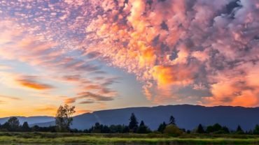 kashmir tour 4 days 3 nights