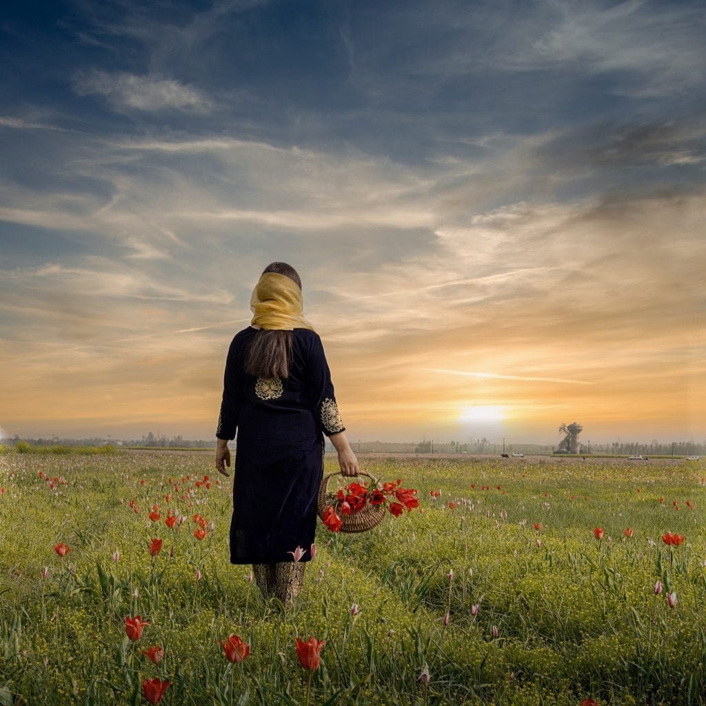 pexels-imad-clicks-7612240