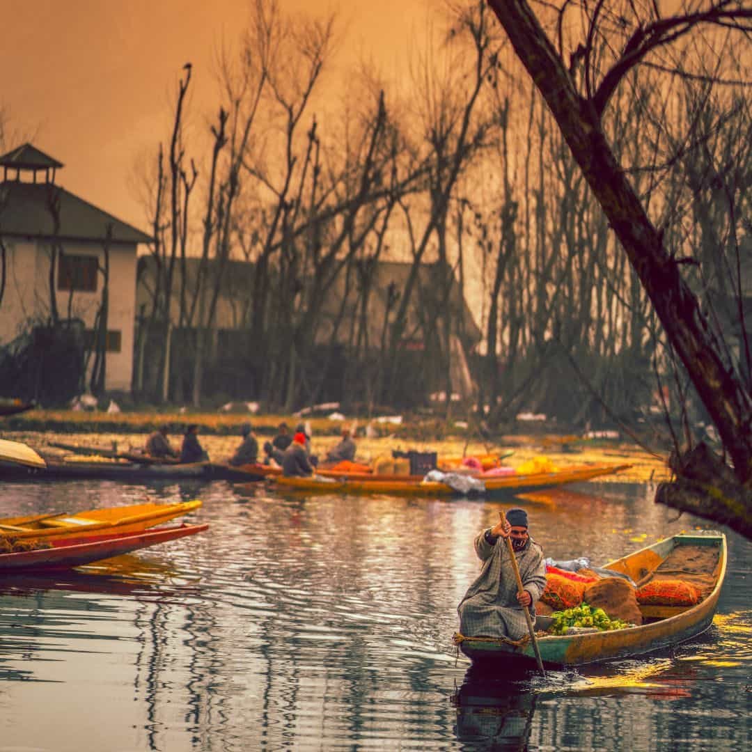 Kashmir surat tour package