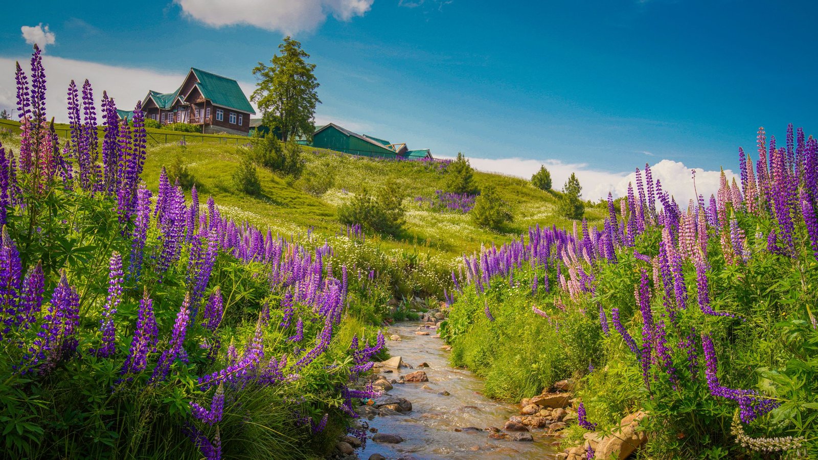 Day 5 : Pahalgam to Gulmarg