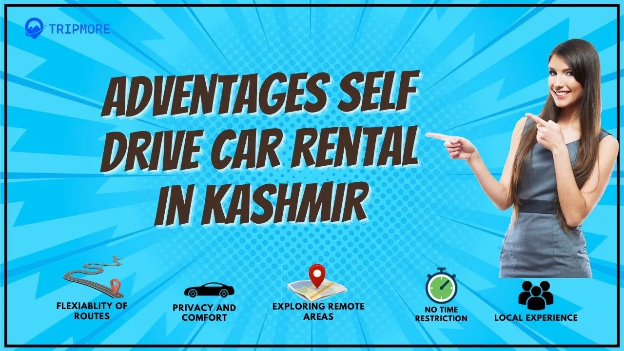 book-self-drive-car-in-Kashmir-_1_