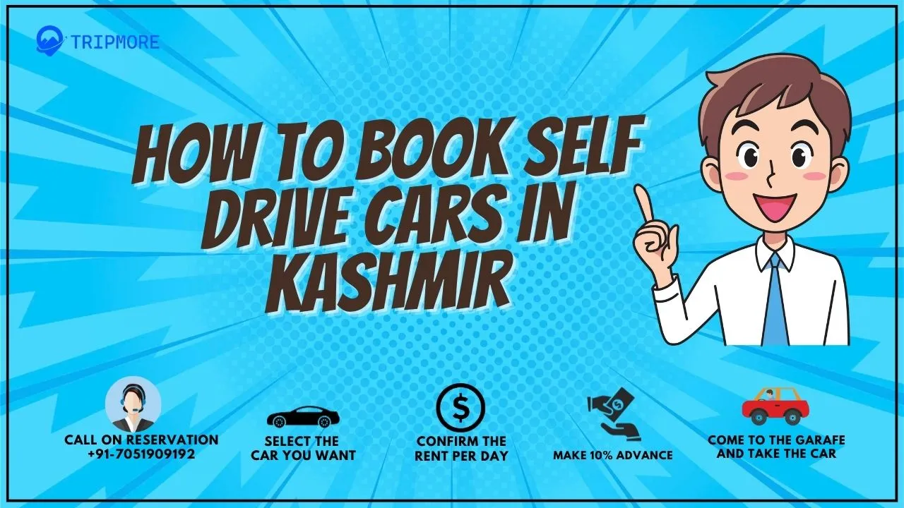 book-self-drive-car-in-Kashmir