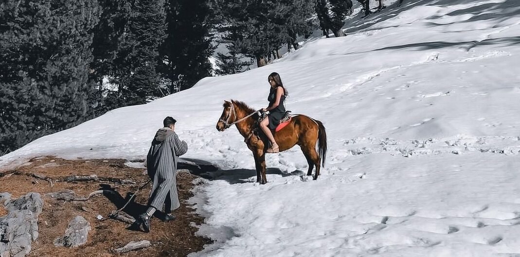 Imad_on_Instagram__A_horse_doesn_39t_care_how_much_you_know_until_he_knows_ho-1-e1623177483331