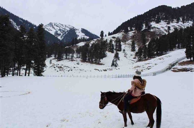 Pony ride in Gulmarg