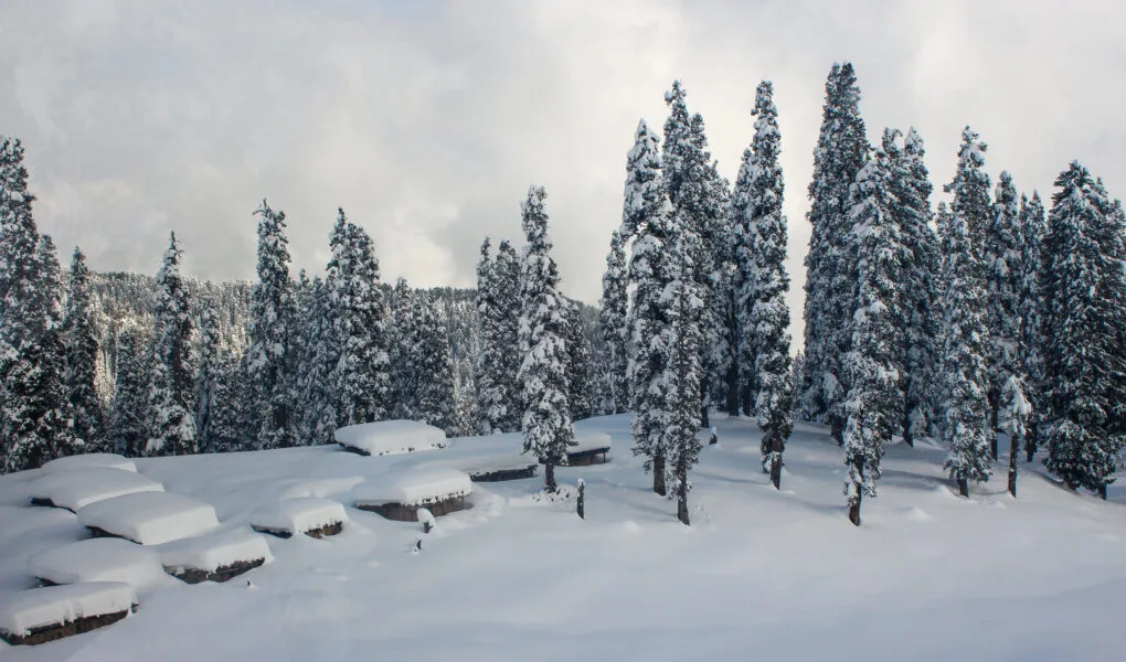 Gulmarg ATV Ride booking