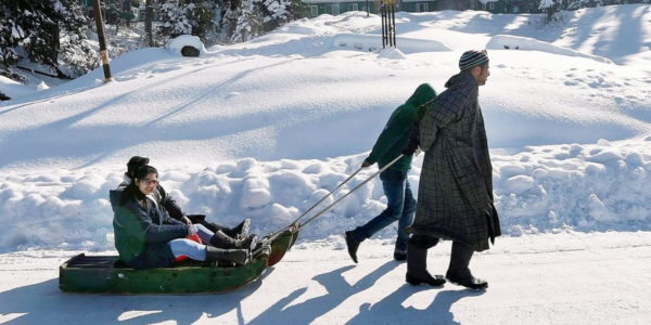 Sledge in Gulmarg
