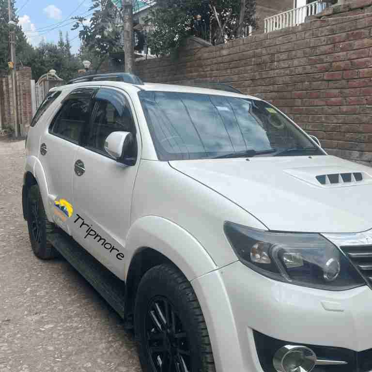 Tripmore-1-768x768_11zon