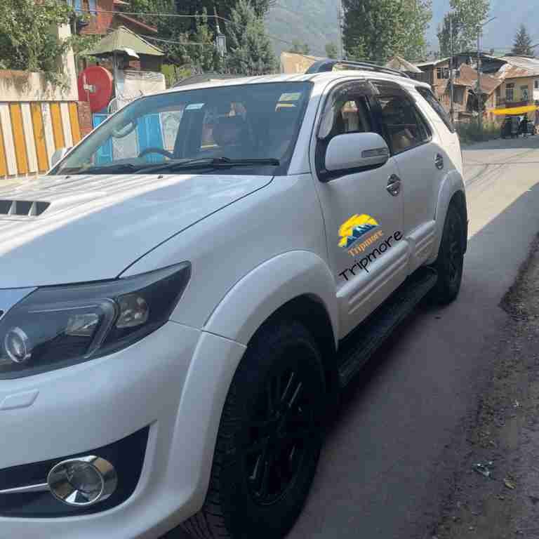 Tripmore-3-768x768_11zon