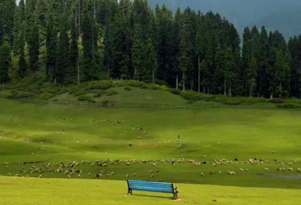 Doodhpathri-tripmore Doodhpathri-tripmore