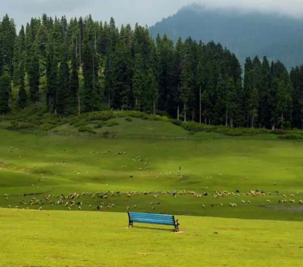 Doodhpathri-tripmore