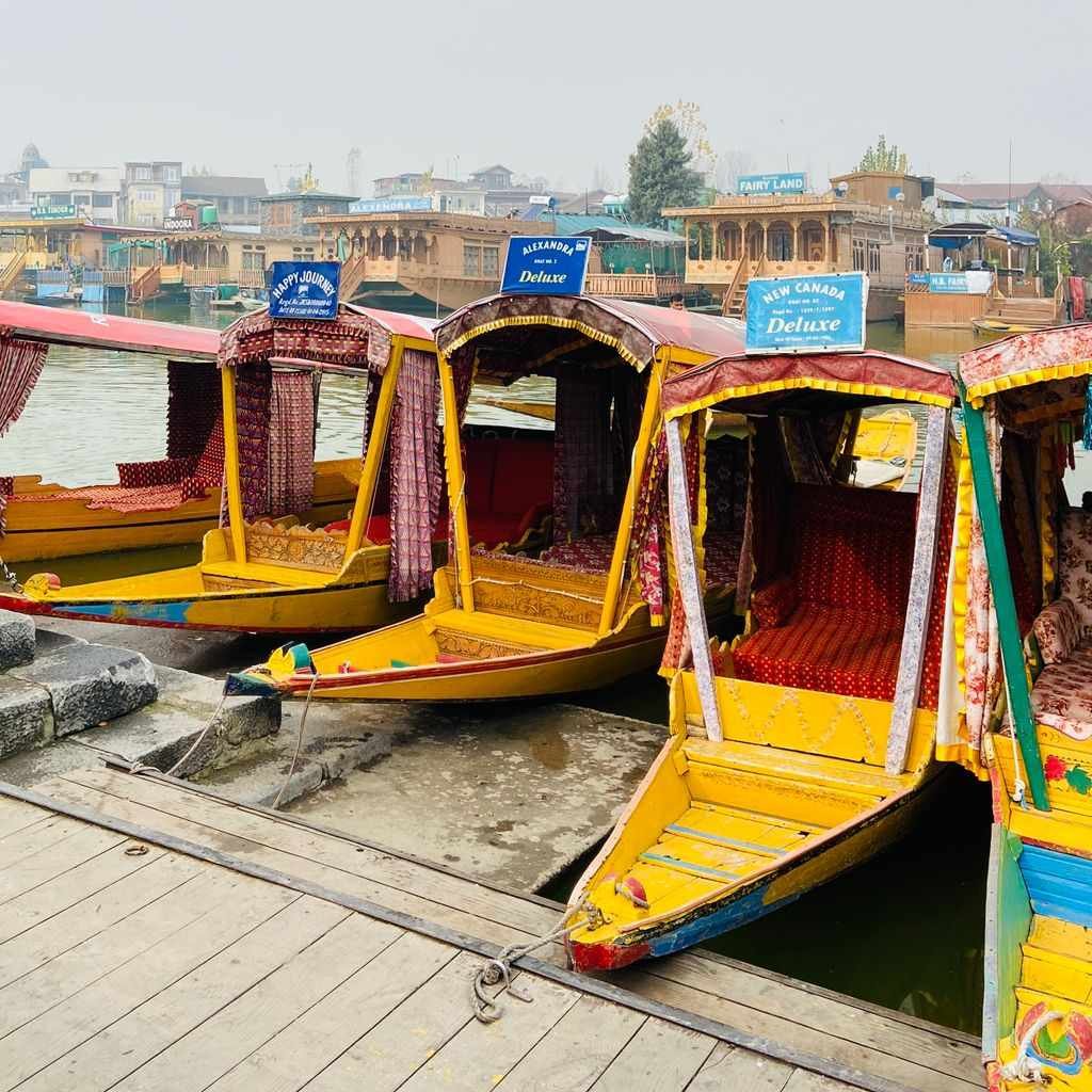 Shikara Ride - Tripmore