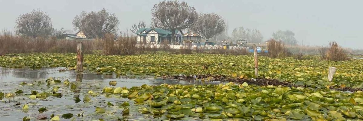 kabutar Kabutar-khana-dal-lake