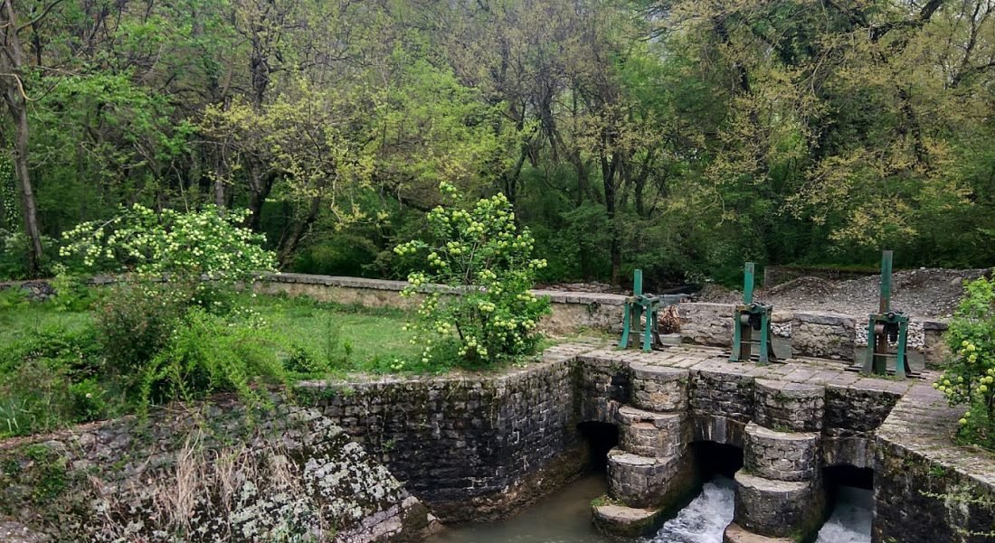 srinagar dachigam nationa park tripmore