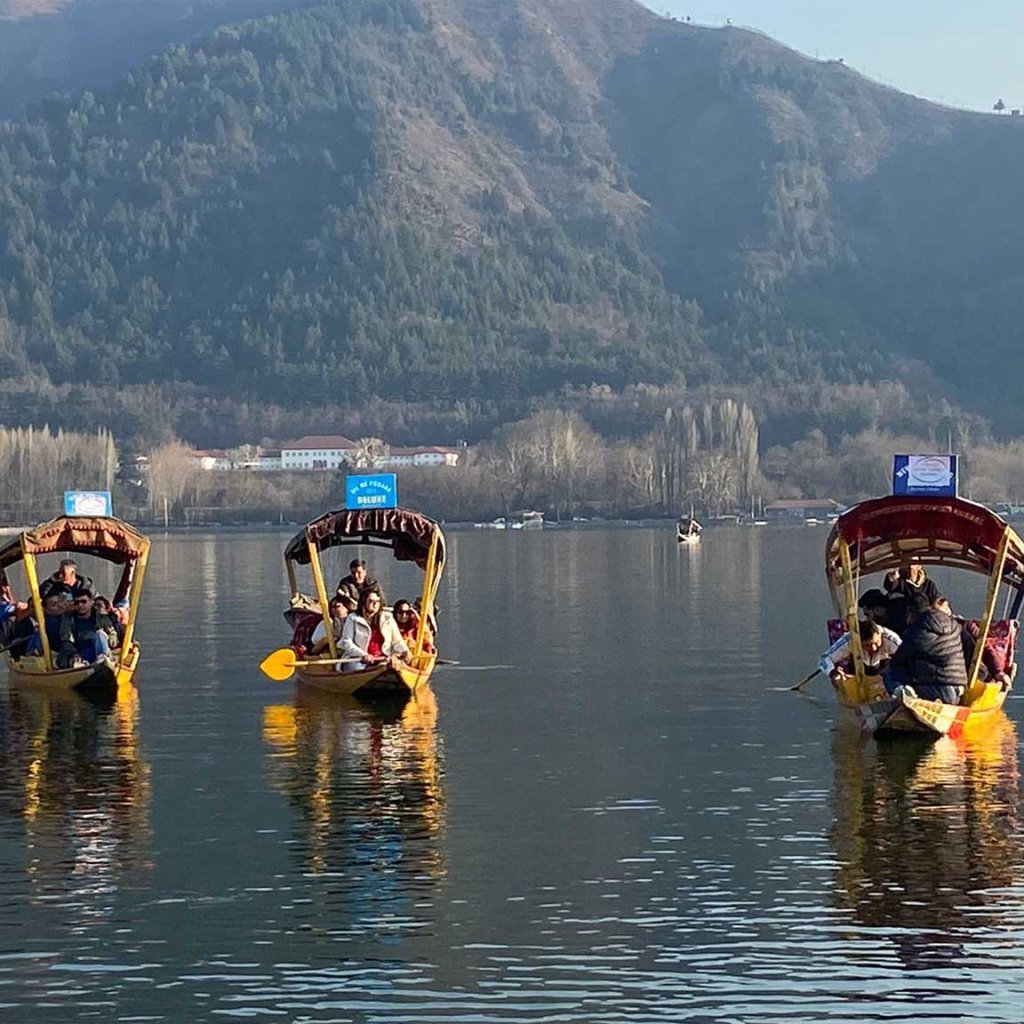 Shikara In Dal Lake