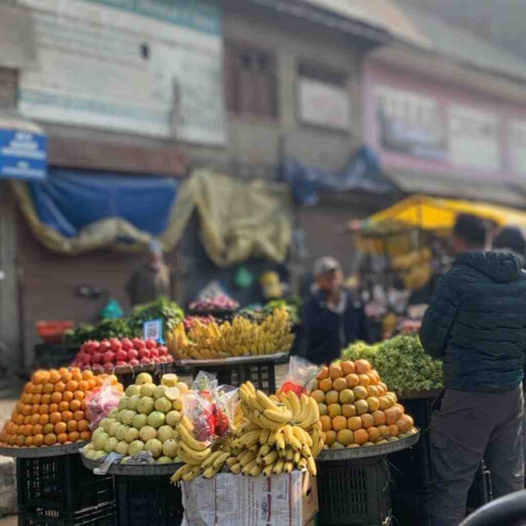 Fruit Vendors at Anantnag