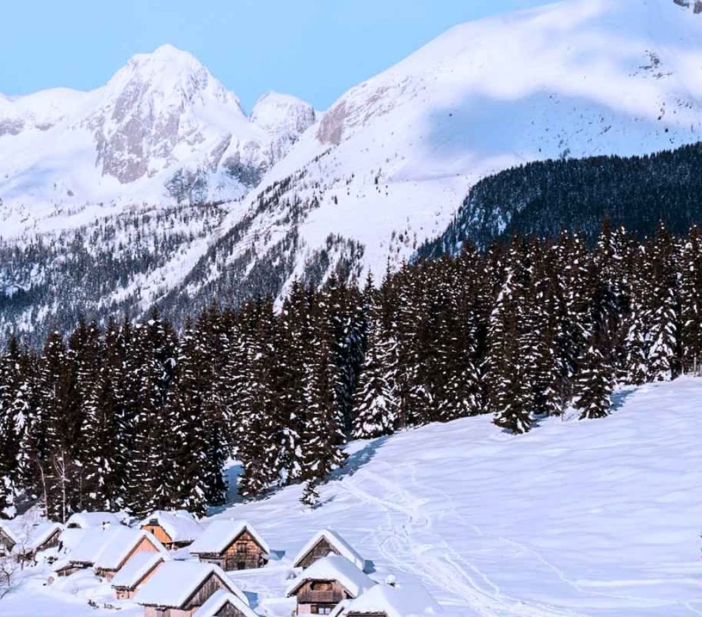 Kashmir Snow Kashmir Snow