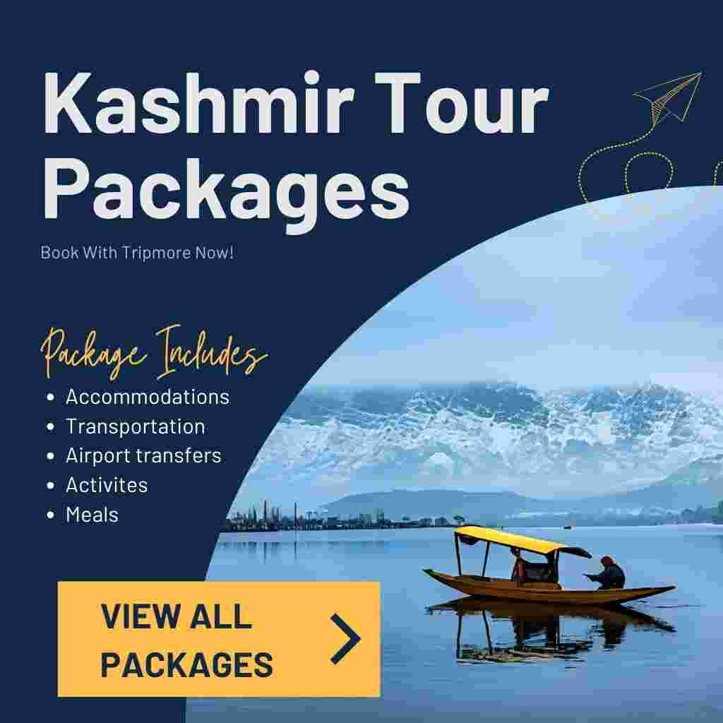 Kashmir Tour Packages All