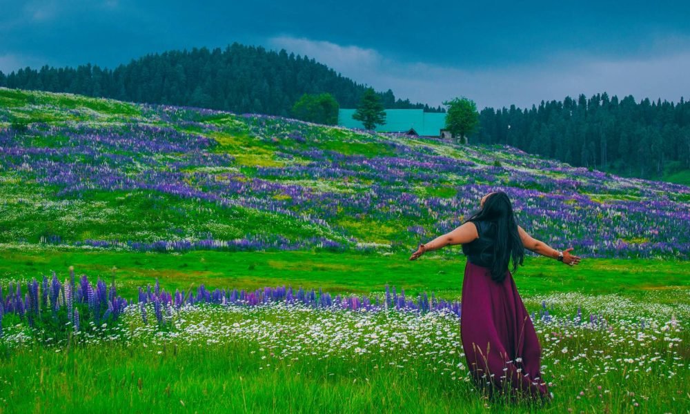 Kashmir Tour Packages with Tripmore