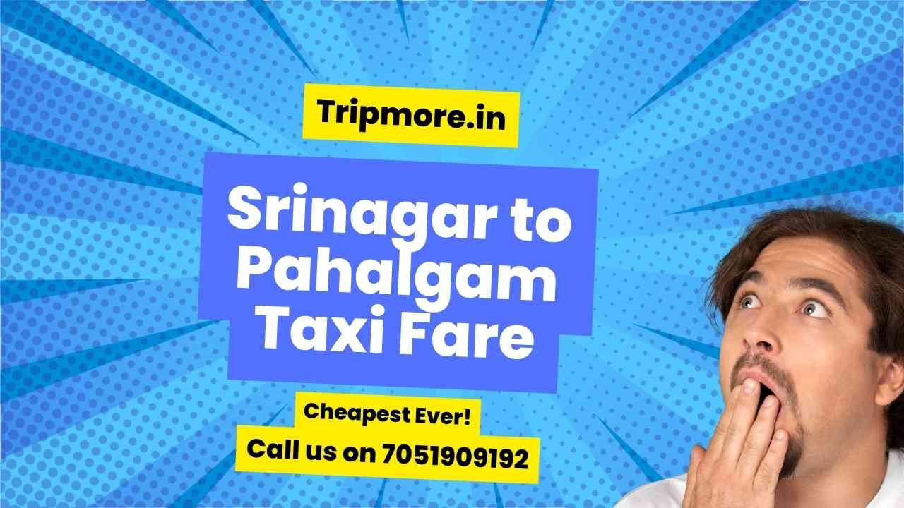 Srinagar to Pahalgam