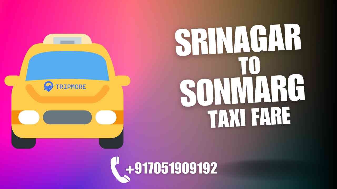 Srinagar to Sonmarg taxi