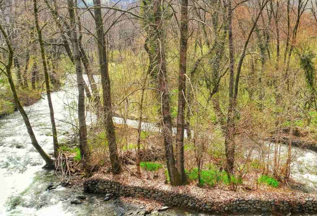 dachigam national park