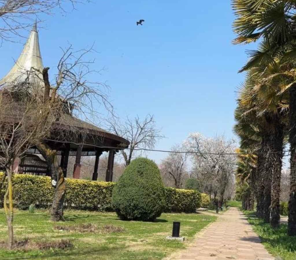 2024 badamwari latest picture