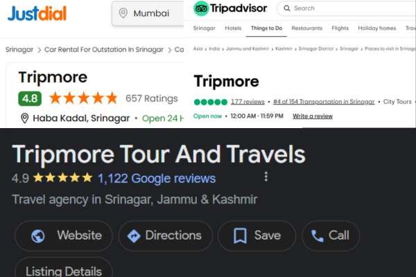 Reviews Tripmore