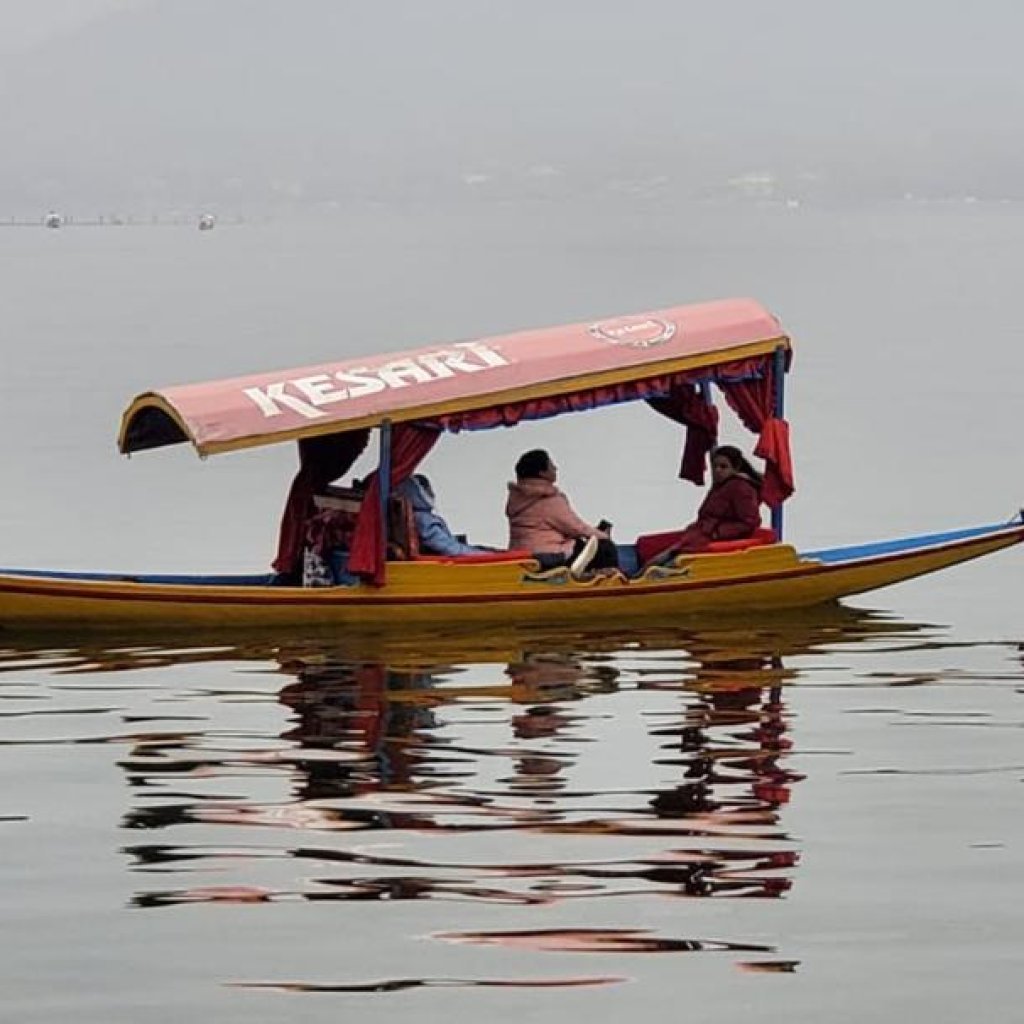 Shikara Dal Lake