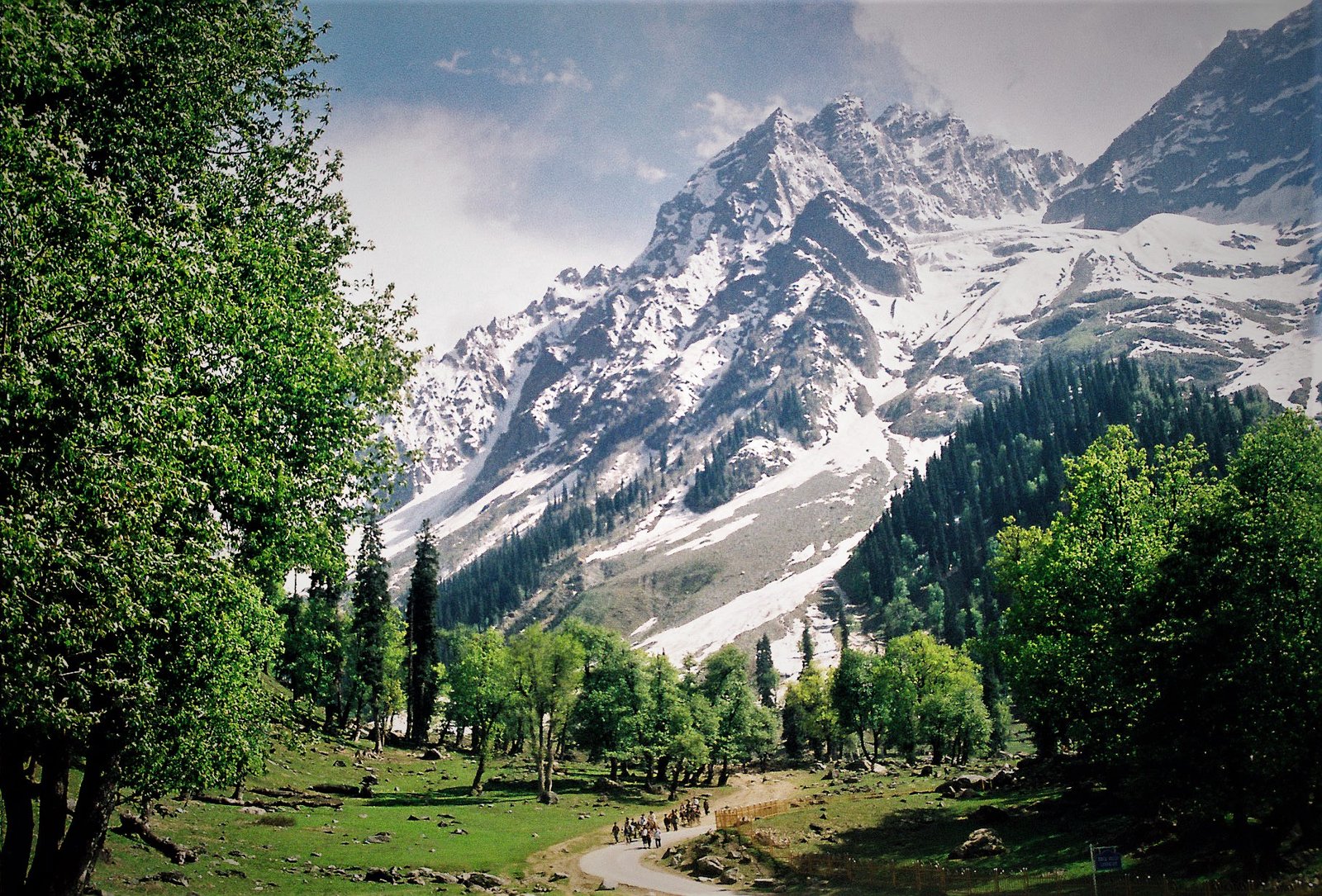 Sonmarg Tripmore