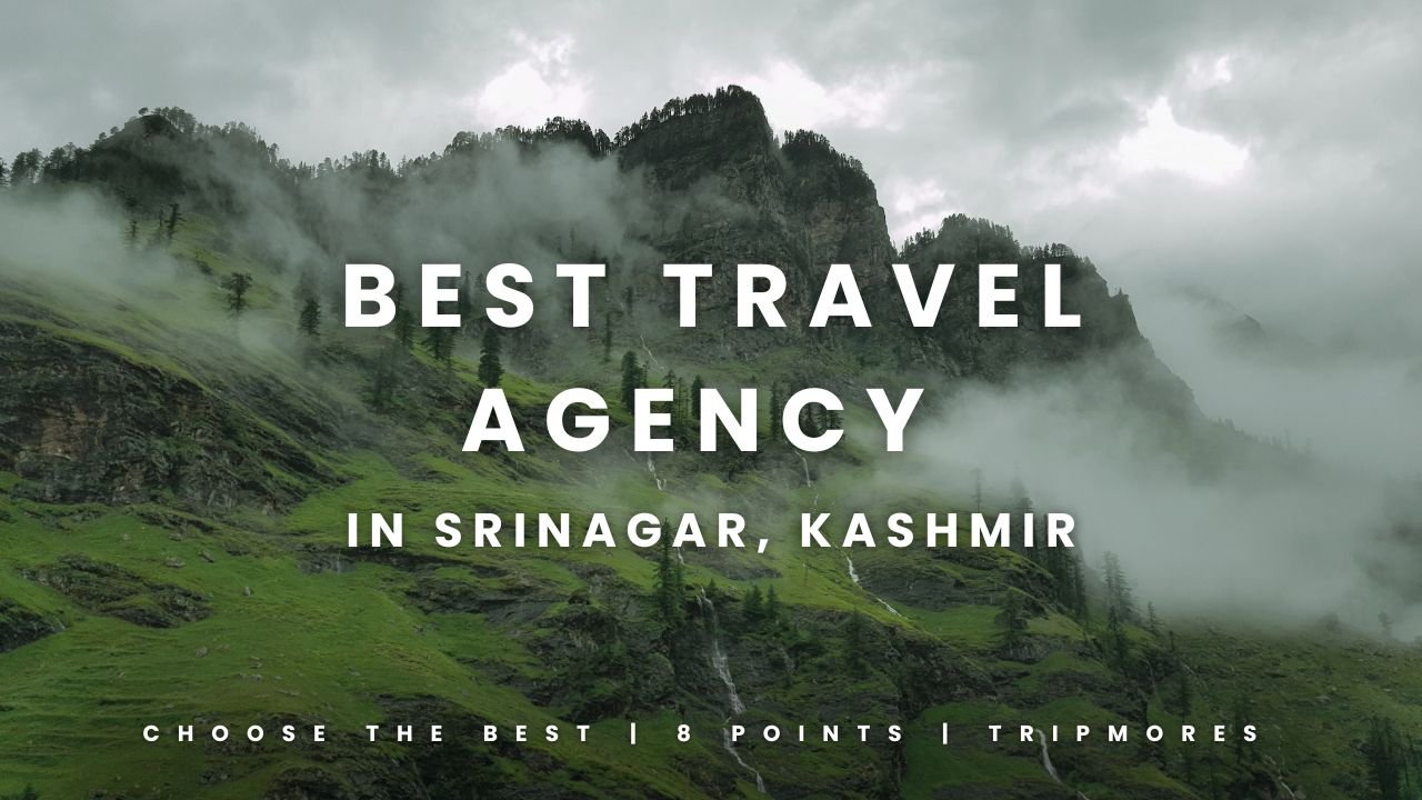 Best Travel Agency in Srinagar, Kashmir