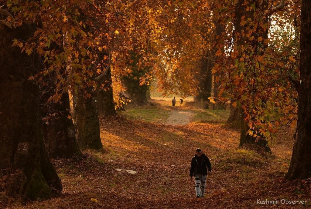 Kashmir Spring Fall Autumn in Kashmir - Best places to visit and things to doTripmore