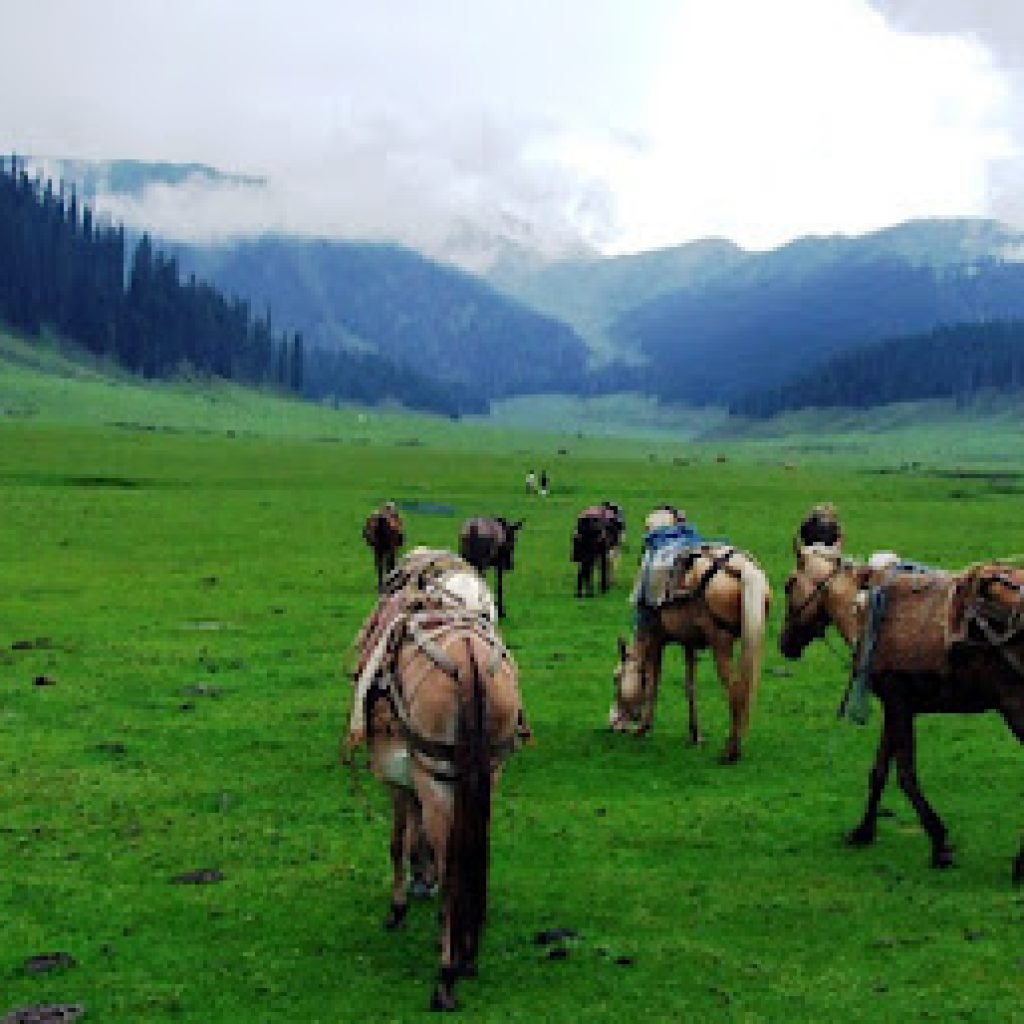 Bangus Valley tour Guide