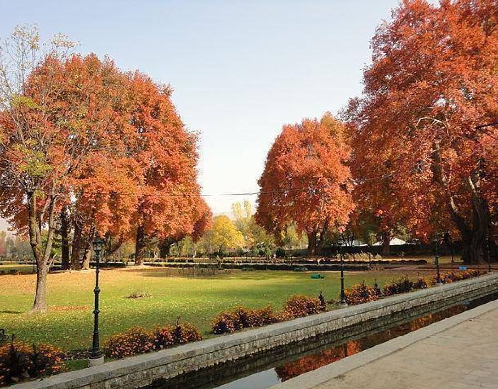 botanical-garden-kashmir