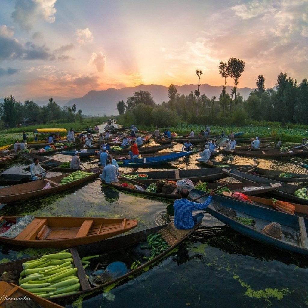 floating market pic 3
