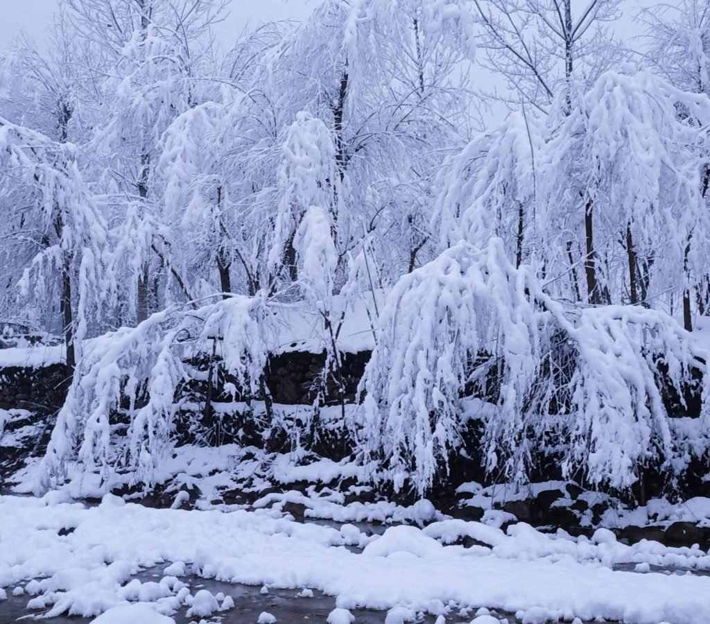 Lolab Valley Lolab Valley